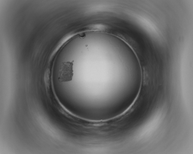 X0000113911438200909241500