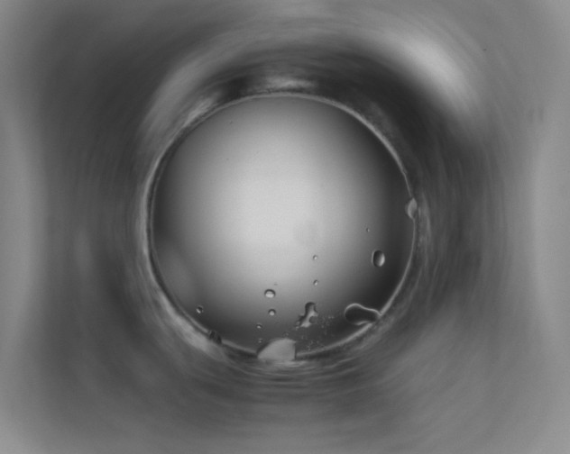 X0000113911439200909241500