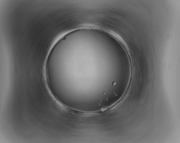 X0000113911440200909241500