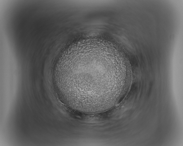 X0000113911441200909241500