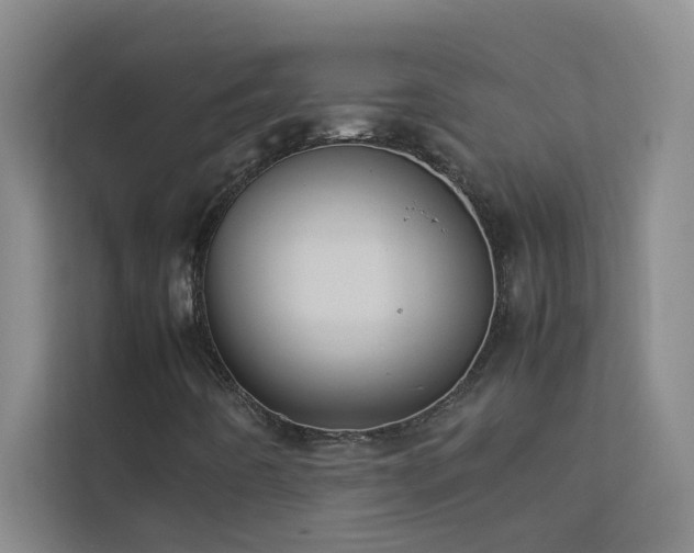 X0000113911442200909241500