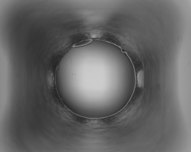 X0000113911443200909241500