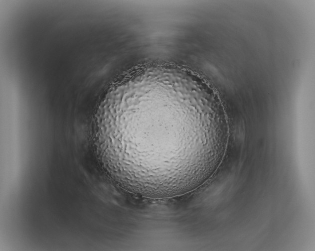 X0000113911445200909241500
