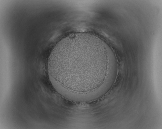 X0000113911446200909241500