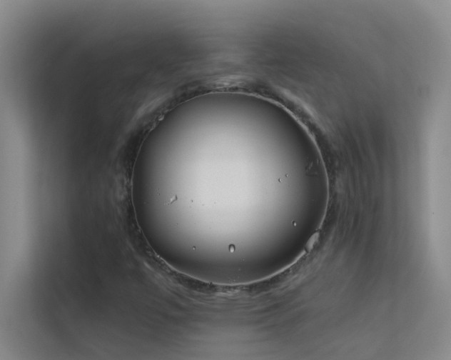 X0000113911447200909241500