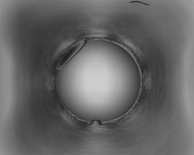 X0000113911448200909241500