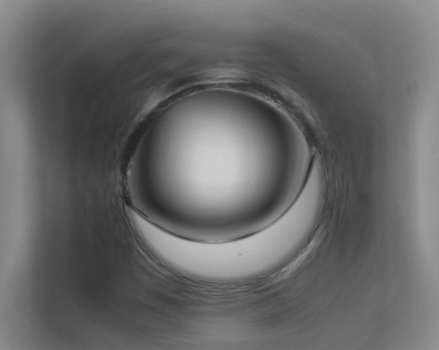 X0000113911449200909241500