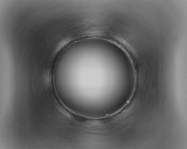X0000113911450200909241500