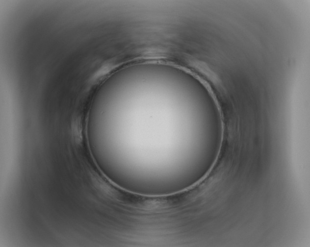 X0000113911451200909241500