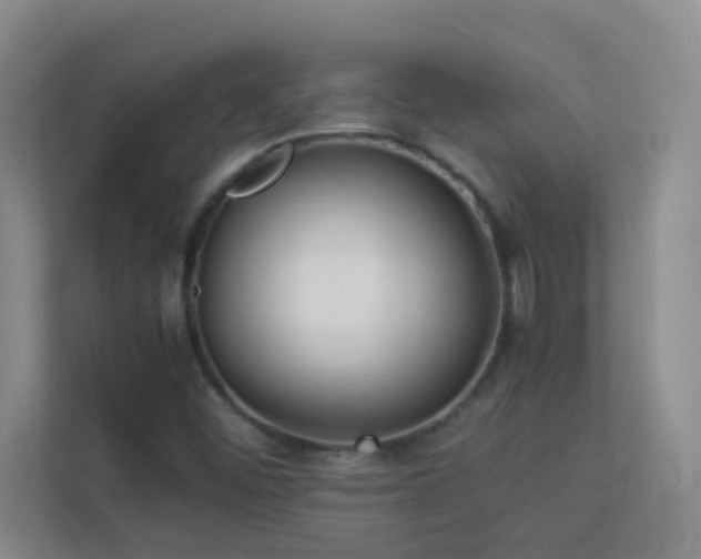 X0000113911452200909241500