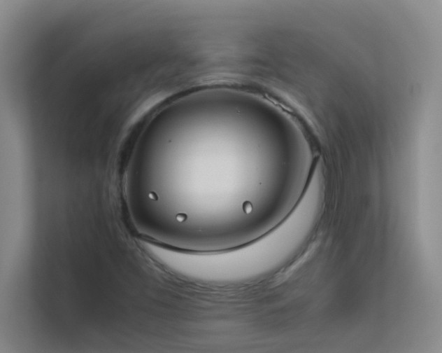 X0000113911453200909241500
