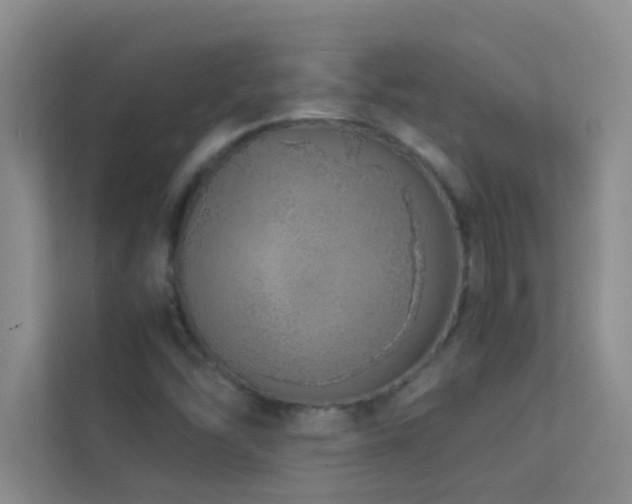X0000113911454200909241500