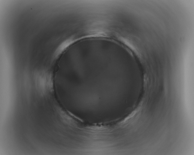X0000113911455200909241459