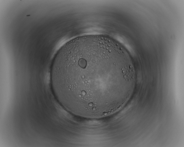 X0000113911459200909241459