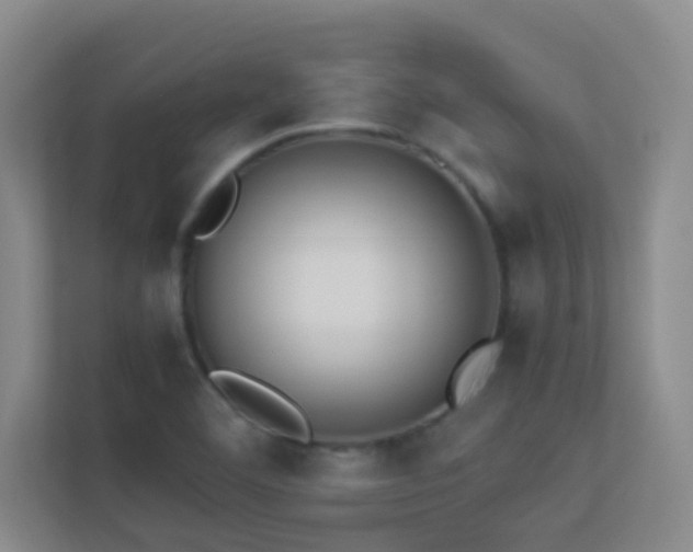 X0000113911460200909241459