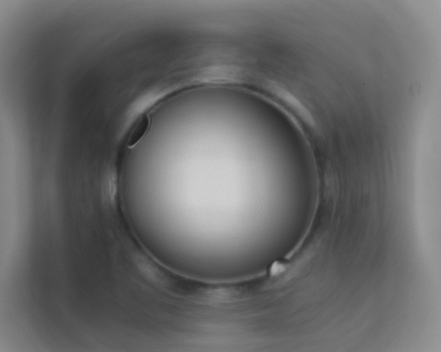 X0000113911461200909241459