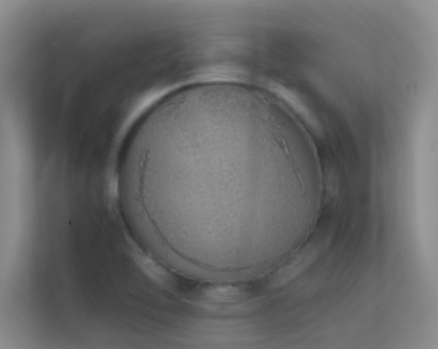 X0000113911462200909241459