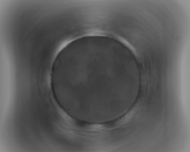 X0000113911463200909241459