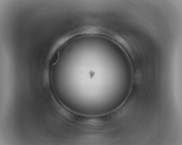 X0000113911464200909241459