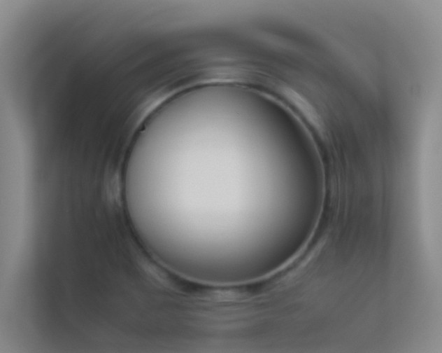 X0000113911465200909241459