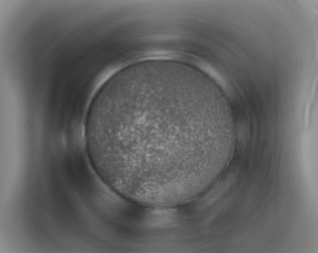 X0000113911466200909241459
