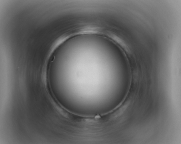 X0000113911469200909241459