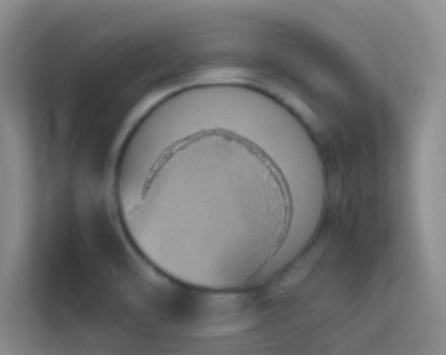 X0000113911470200909241459