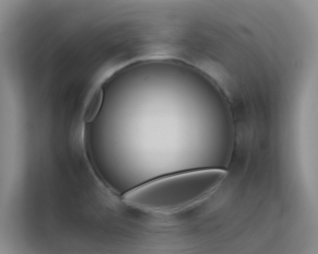 X0000113911472200909241459