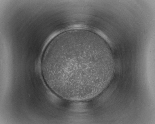 X0000113911474200909241459