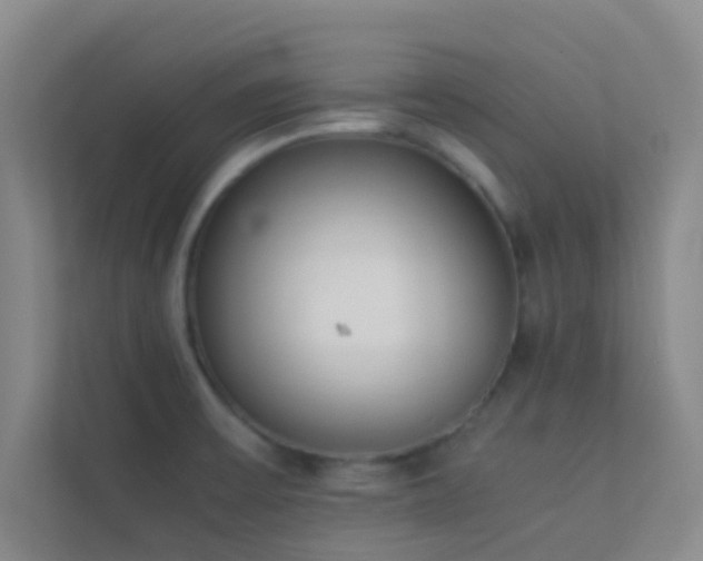 X0000113911475200909241459