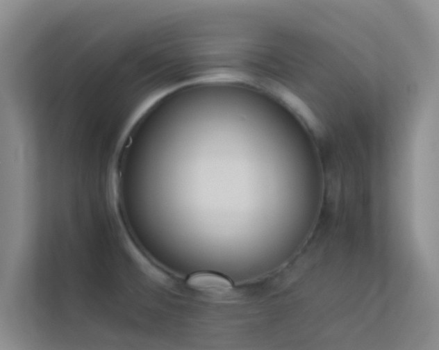 X0000113911476200909241459