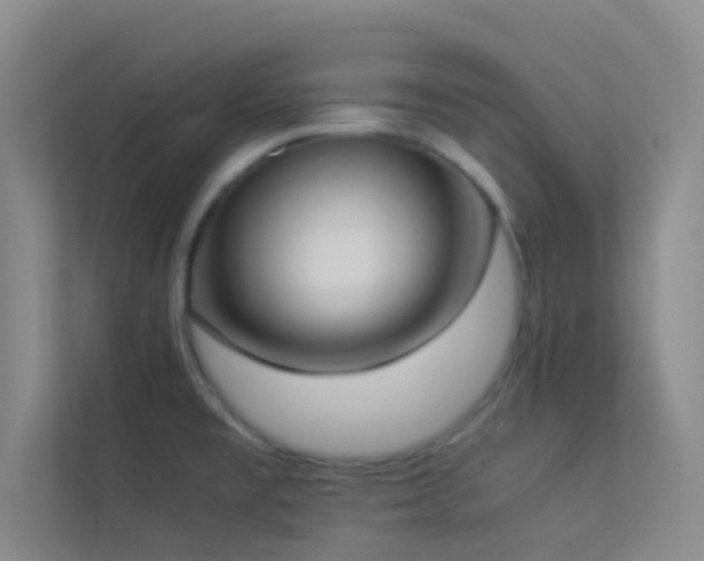 X0000113911477200909241459