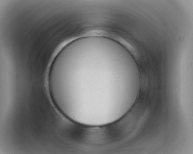 X0000113911478200909241459
