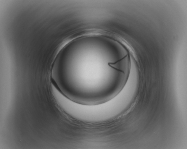 X0000113911481200909241459