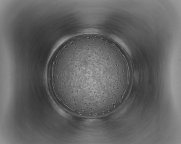 X0000113911482200909241459