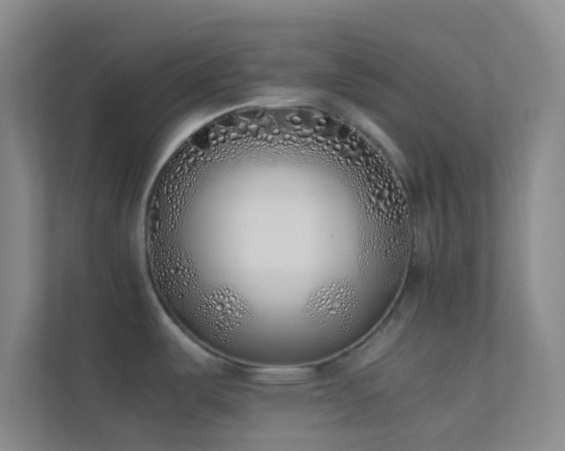 X0000113911487200909241459