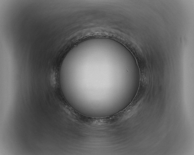 X0000113911490200909241458