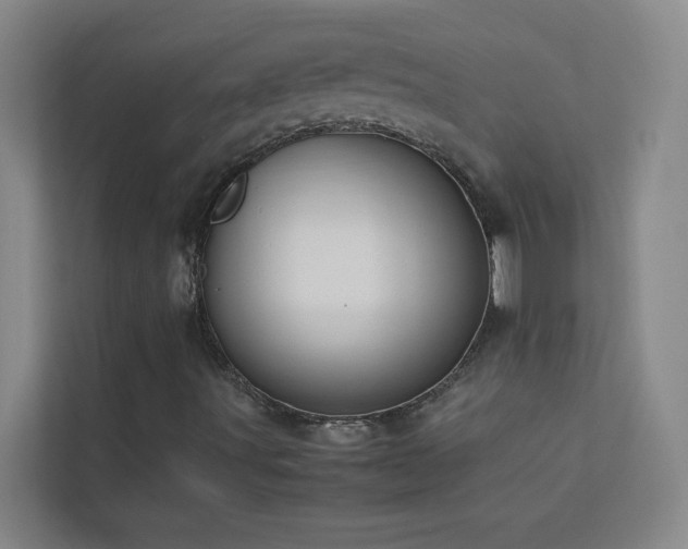 X0000113911491200909241458