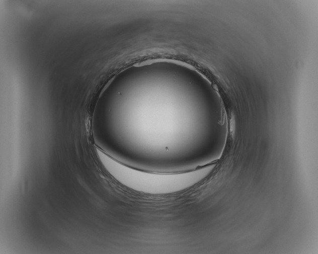 X0000113911492200909241458