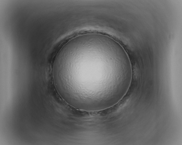 X0000113911494200909241459