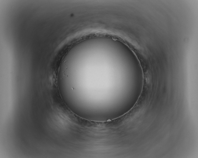 X0000113911495200909241459