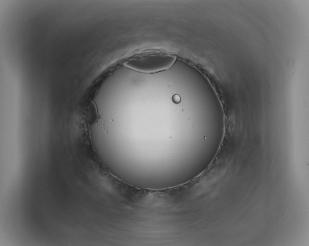 X0000113911496200909241459
