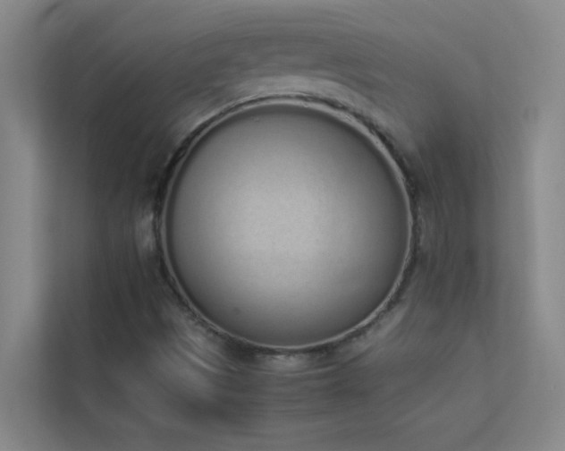 X0000113911497200909241459