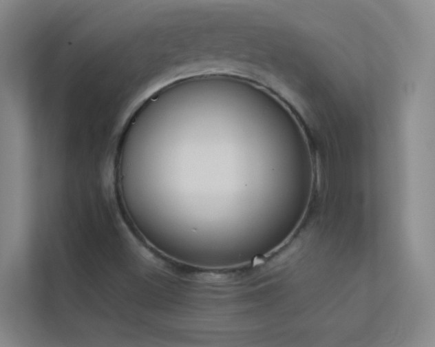 X0000113911500200909241459