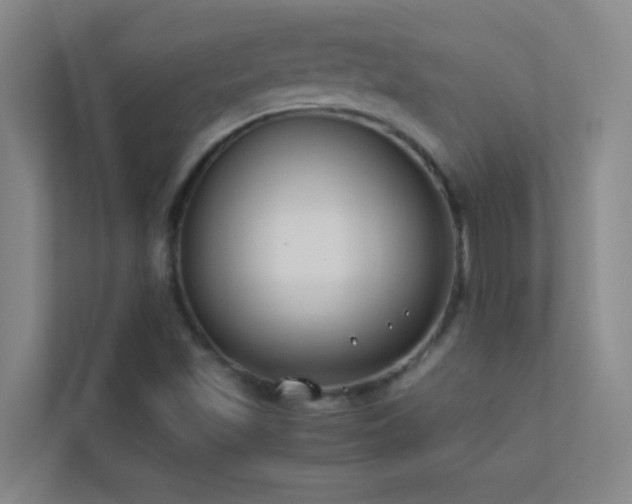 X0000113911501200909241459