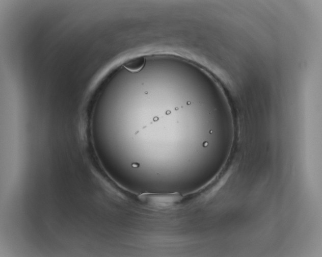 X0000113911502200909241459