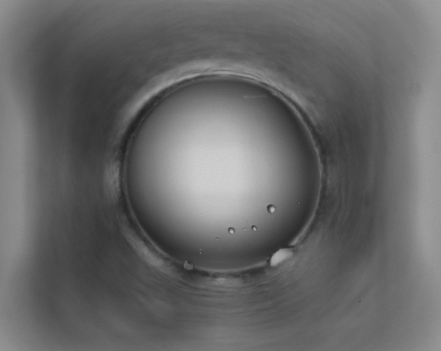 X0000113911503200909241459