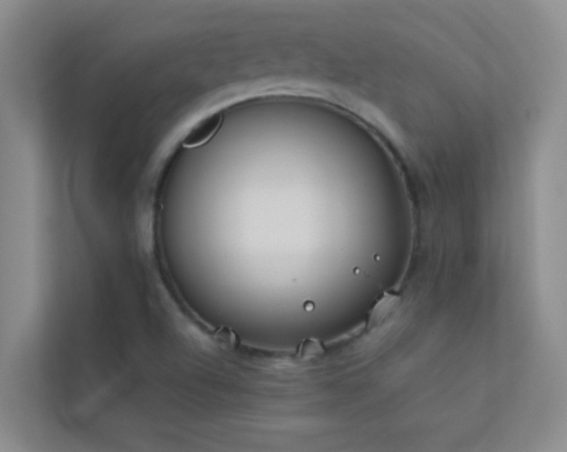 X0000113911504200909241459