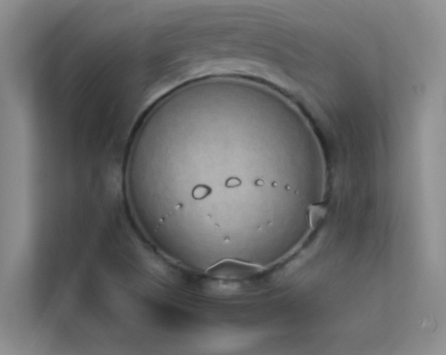 X0000113911505200909241459