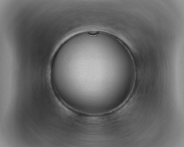 X0000113911508200909241459
